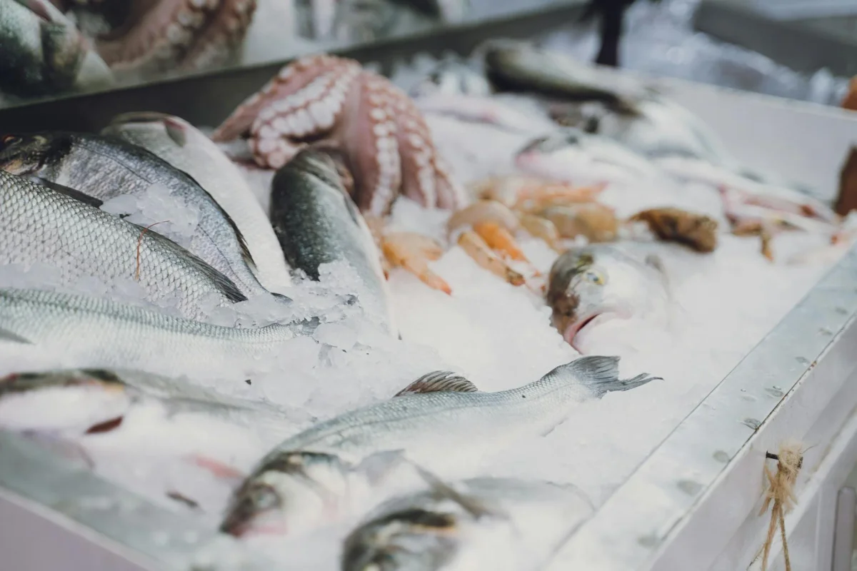 Frozen vs Fresh Fish: When Frozen Is Actually Better