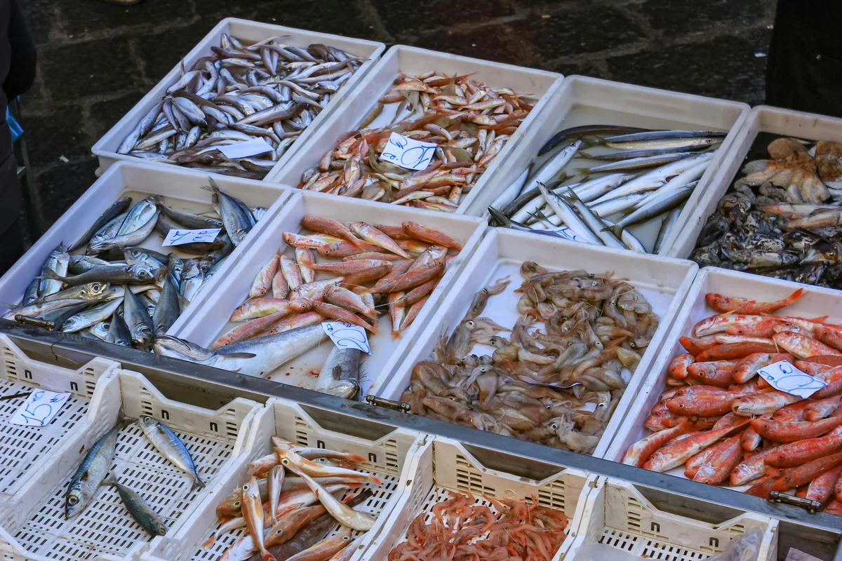 Mediterranean Fish Guide: From Branzino to Orata