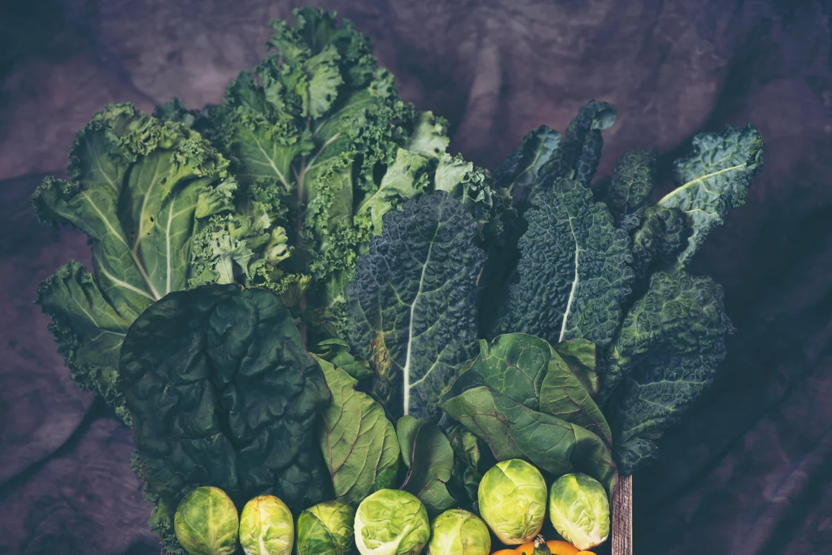 Calcium Sources for Vegans: Beyond Dairy