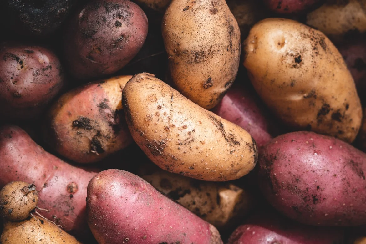 Potato Varieties: From Waxy to Floury